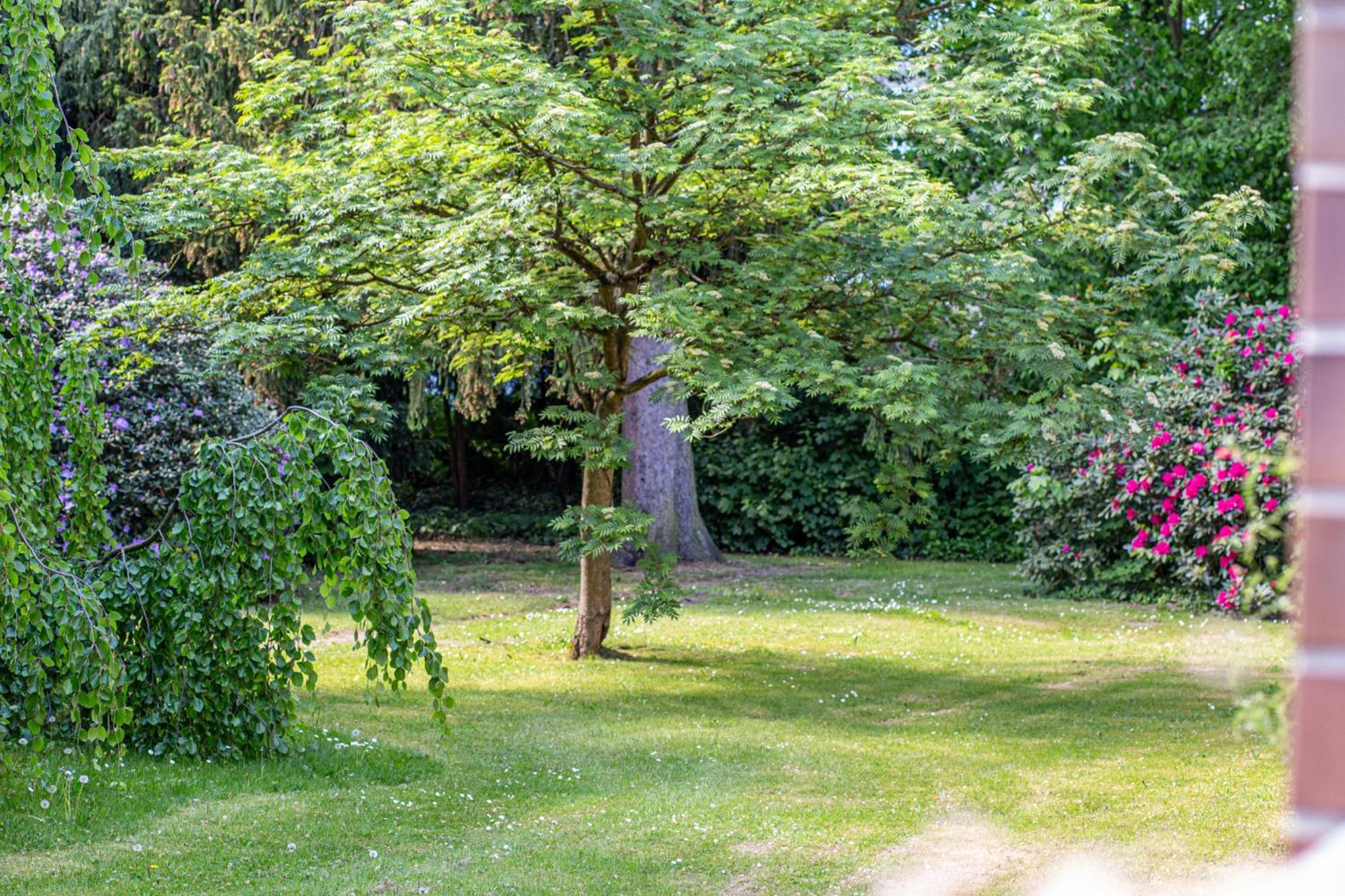 Have-A-Nice-Stay - Nahe Bahnhof Ahrensburg - 20 Minuten Nach Hamburg - Trotzdem Ruhig Gelegen - 6 Minuten Zu Fuss Ins Zentrum Ahrensburg - Modern Eingerichtet Ngoại thất bức ảnh